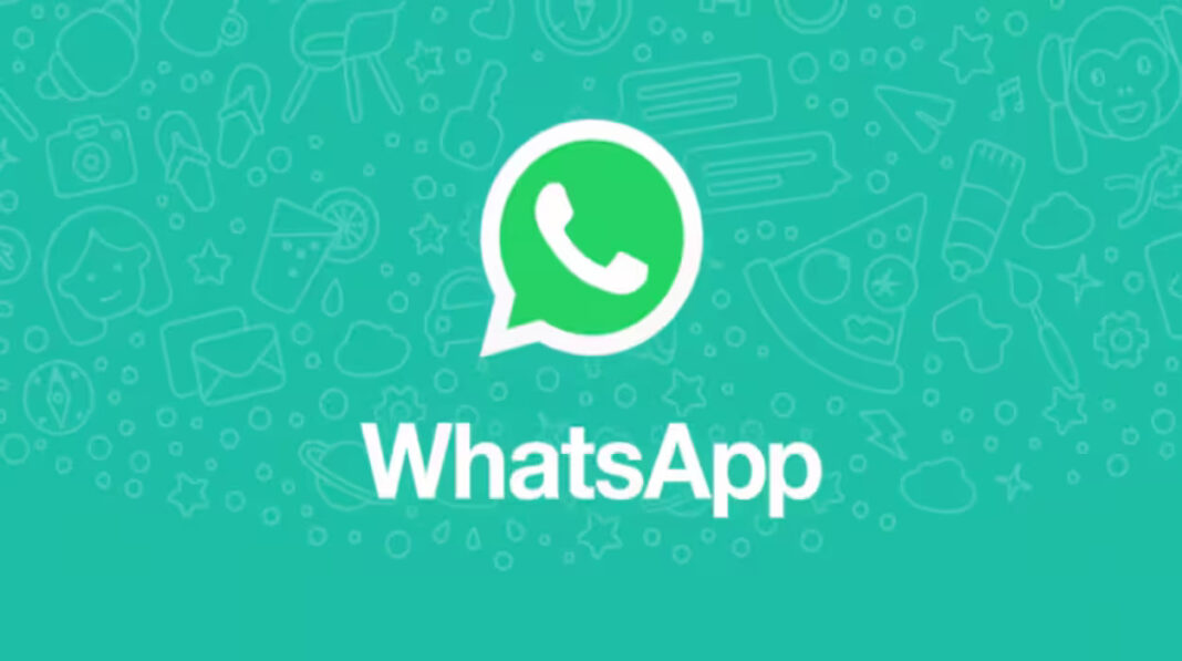 logicalshout updates WhatsApp