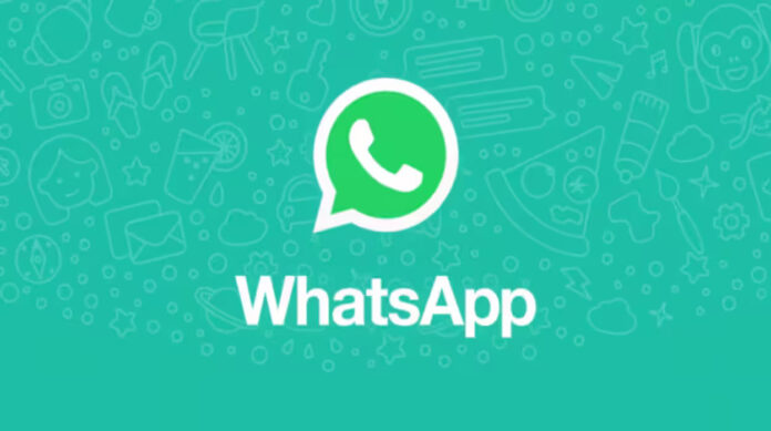 logicalshout updates WhatsApp